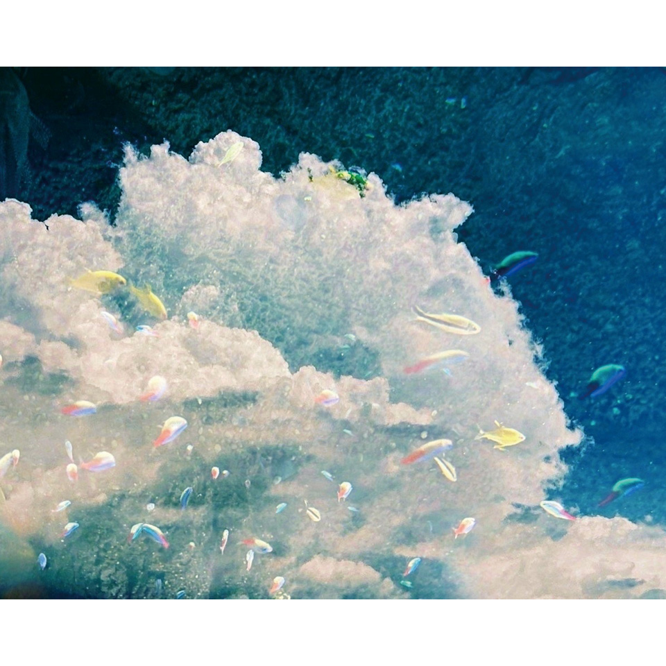 Angelite/untitled